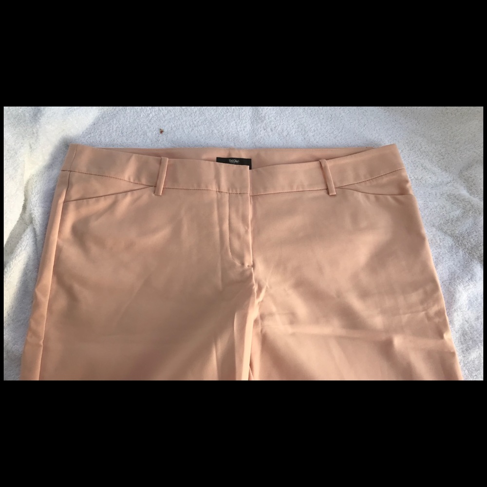 NWOT  plus size walking shorts